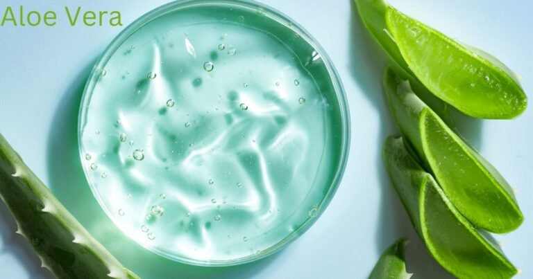 “Know the Benefits of Aloe Vera: Nature’s Ultimate Remedy for Skin and Hair”