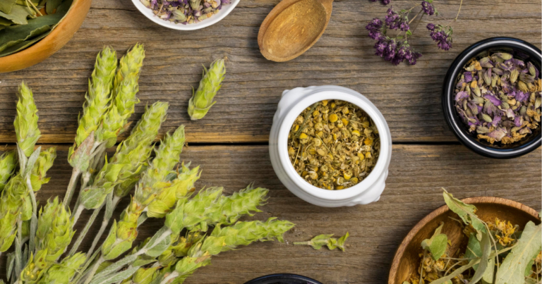 10 Most Used Herbs for Their Medicinal Properties